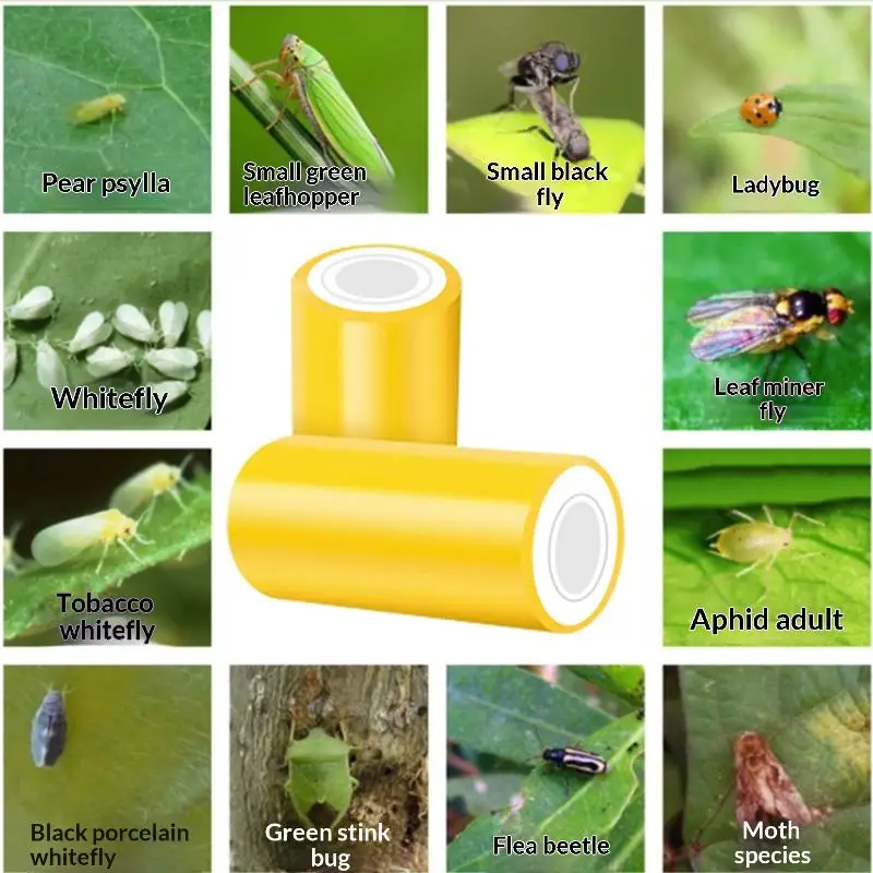 Double-Sided Sticky  Tape For Fruit Trees Yellow Stripe For Greenhouses  Control  Attraction