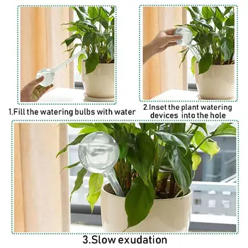 10 best sales Arrosage des bonsaïs - №8