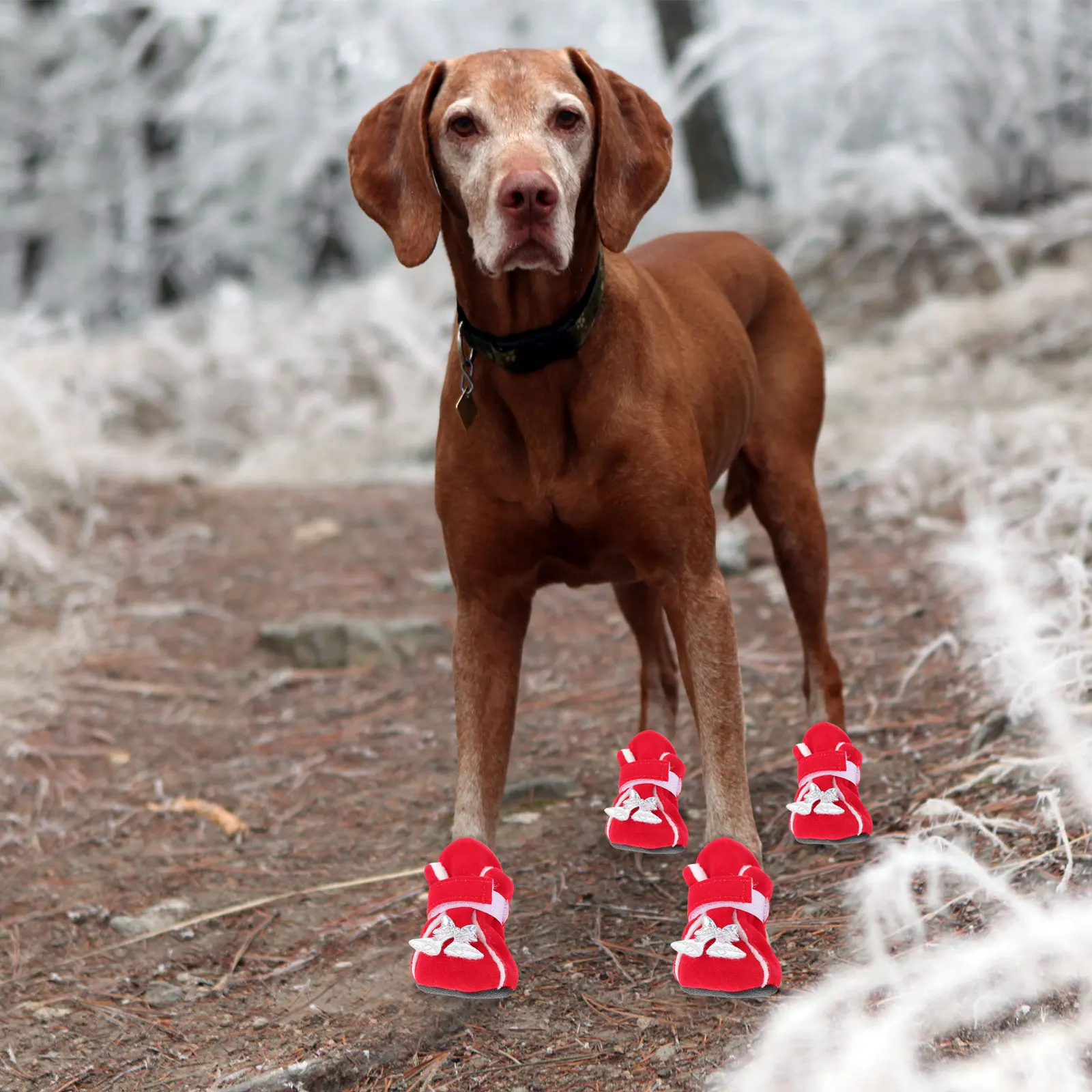 

4Pcs Pet Xmas Shoes Christmas Dog Warm Paw Protectors Anti-Skid Puppy Boots Outdoor Winter Pet Winter Shoes Dog Boots