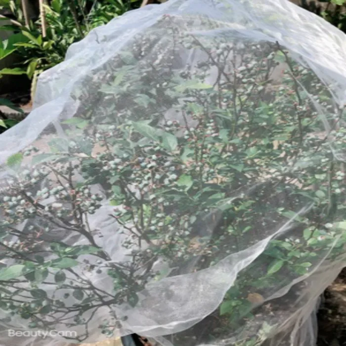 Breathable Wear-resistant Insect Screen Cherry Fruit Tree Windproof Bird Proof Peach Net Tree Greenhouse Special Mesh Fabric