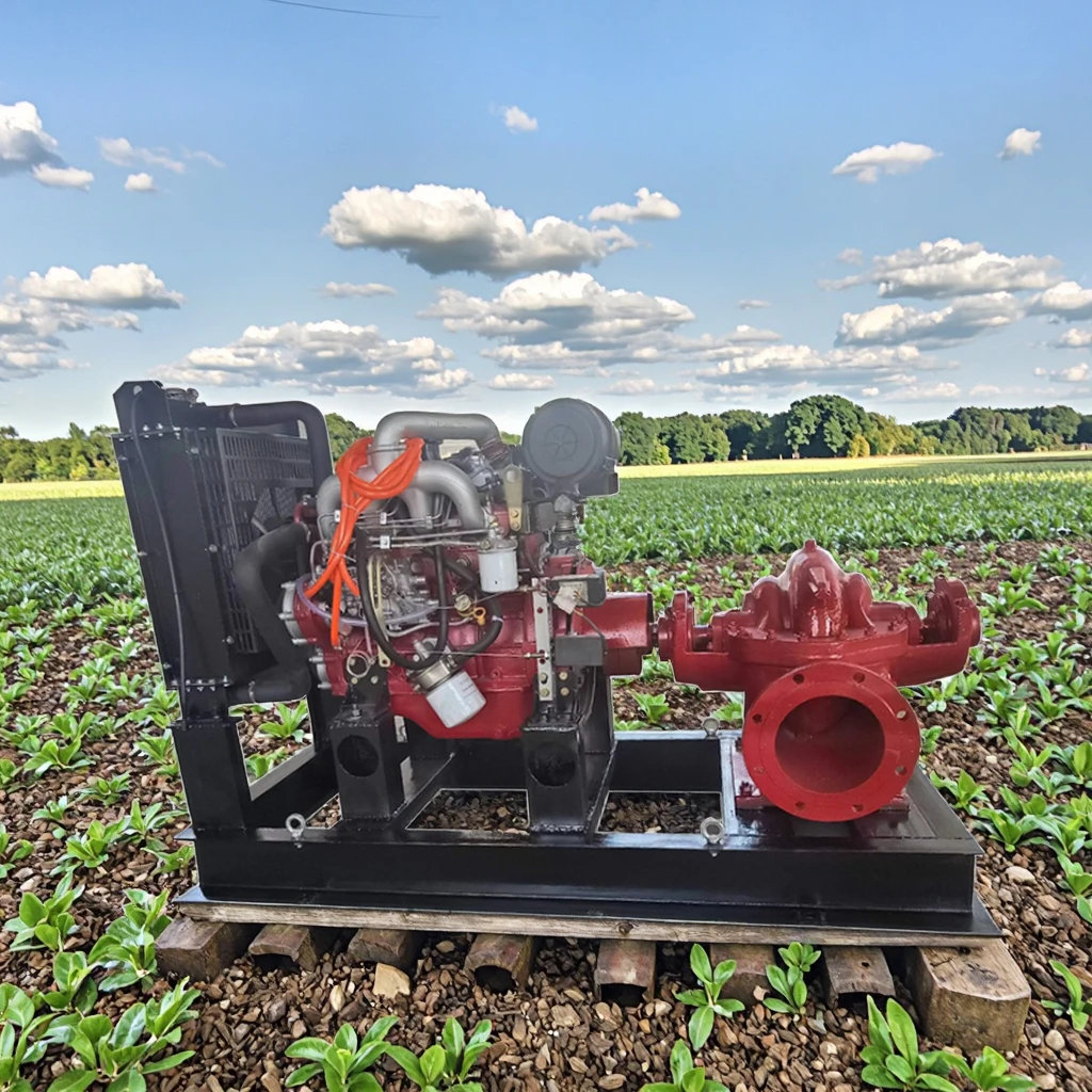 ISO Certified High Quality High Lift lrrigation Water Pump Double Suction Pump