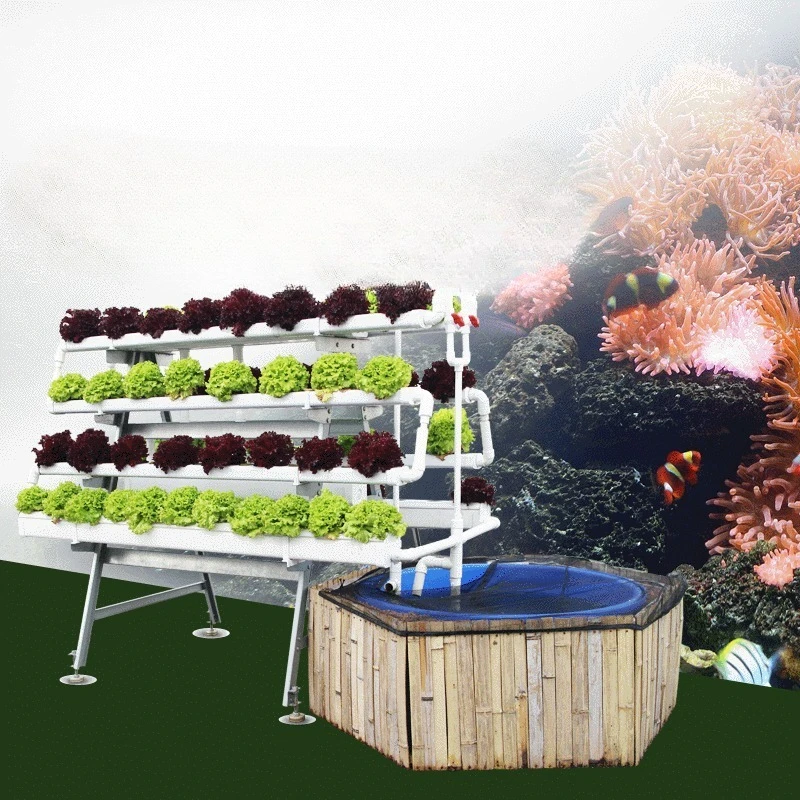 Outdoor balcony vegetable planting soilless cultivation equipment, planting rack