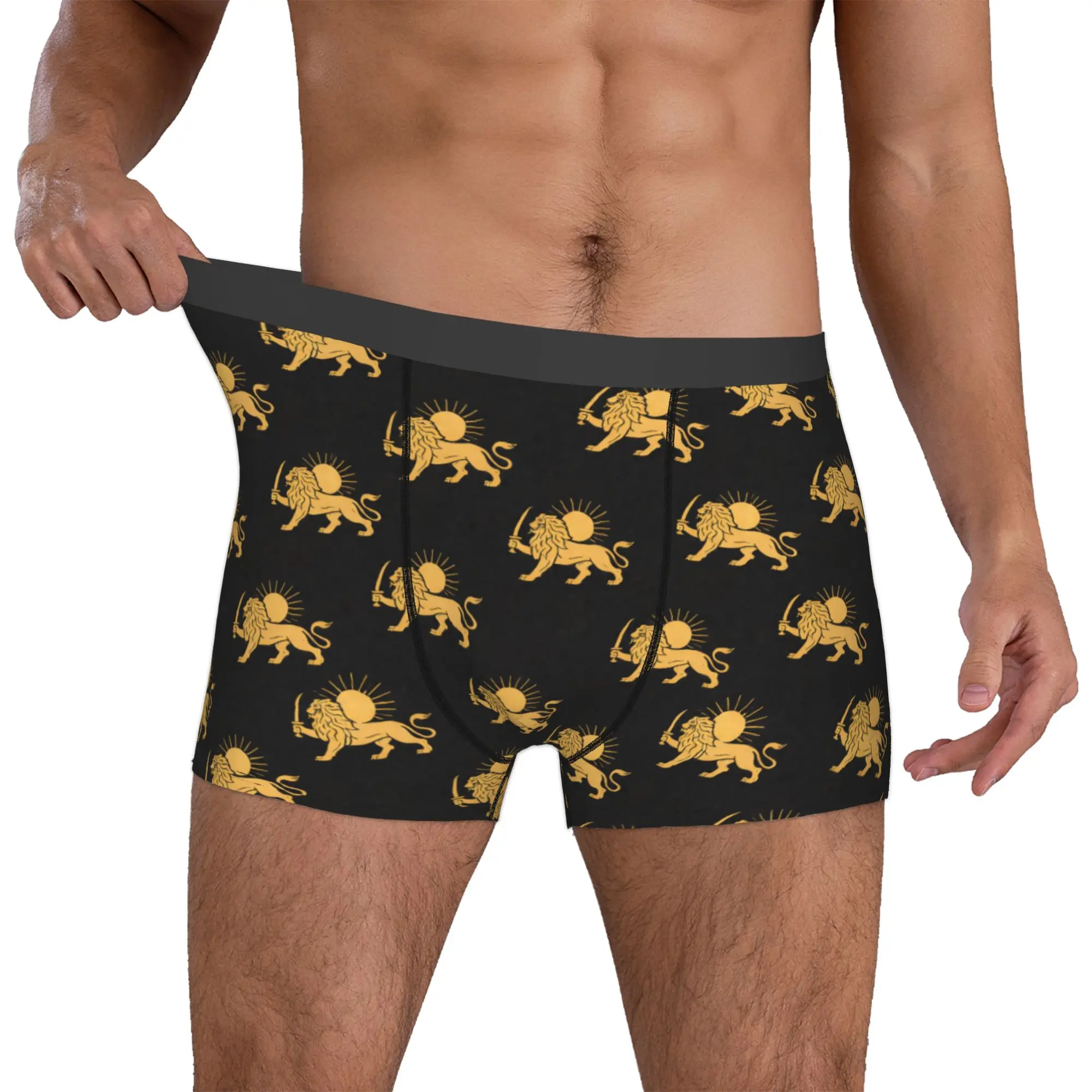 Custom Iran Flag Persian Winged Lion Boxers Shorts Men's  Briefs Underwear Funny Underpants