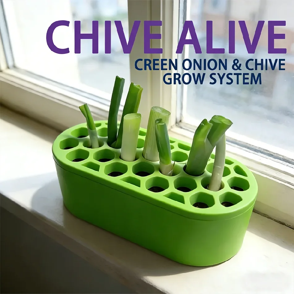 Kit de Cultivo de Cebolla Verde, Jardinería Fácil en Casa para Ventanas y Balcones, Crecimiento Rápido, Cosecha Continua