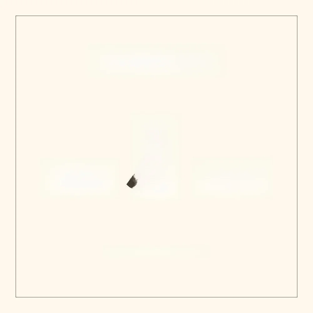 

Новая коллекция женских юбок с высокой талией, модная весенняя модель, китайский бренд Pengiguo