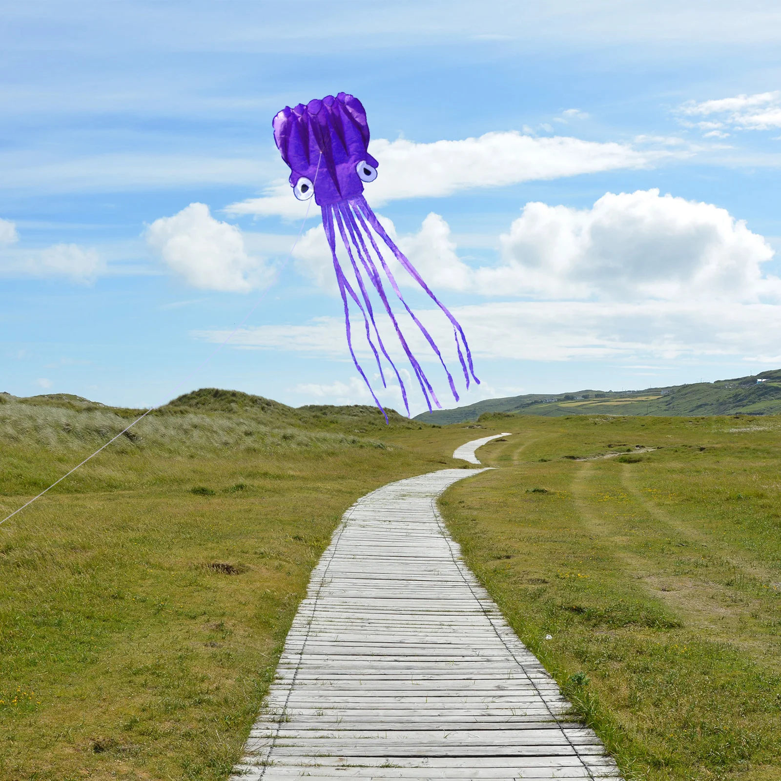 Latawiec ośmiornica materiałowy jaskrawy kolor łatwy w lotowaniu długi ogon na zewnątrz do parku na plażę kolorowy latawiec latawce z kreskówek