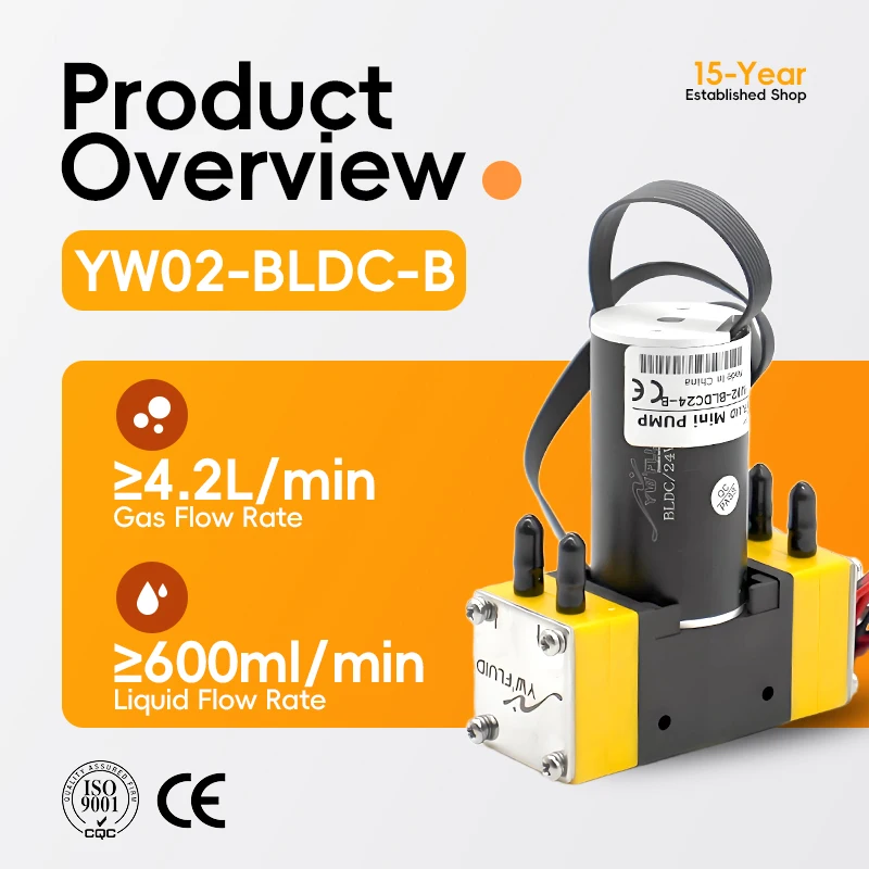 YW02 B-BLDC Hot Sale 12V 24V Brushless Motor OEM/ODM Micro Miniature Diaphragm Pump