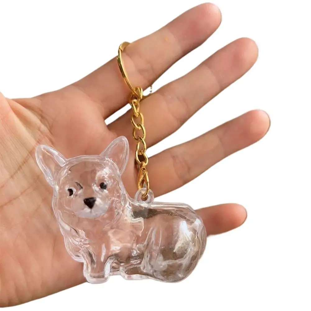 Aufbewahrungsbox für Hundehaare, Tierfellbehälter, Schlüsselanhänger, transparente Kapsel, Andenken, Gedenkgeschenk für Hunde, Trauermittelanhänger für den Verlust eines Haustiers – Detail 27