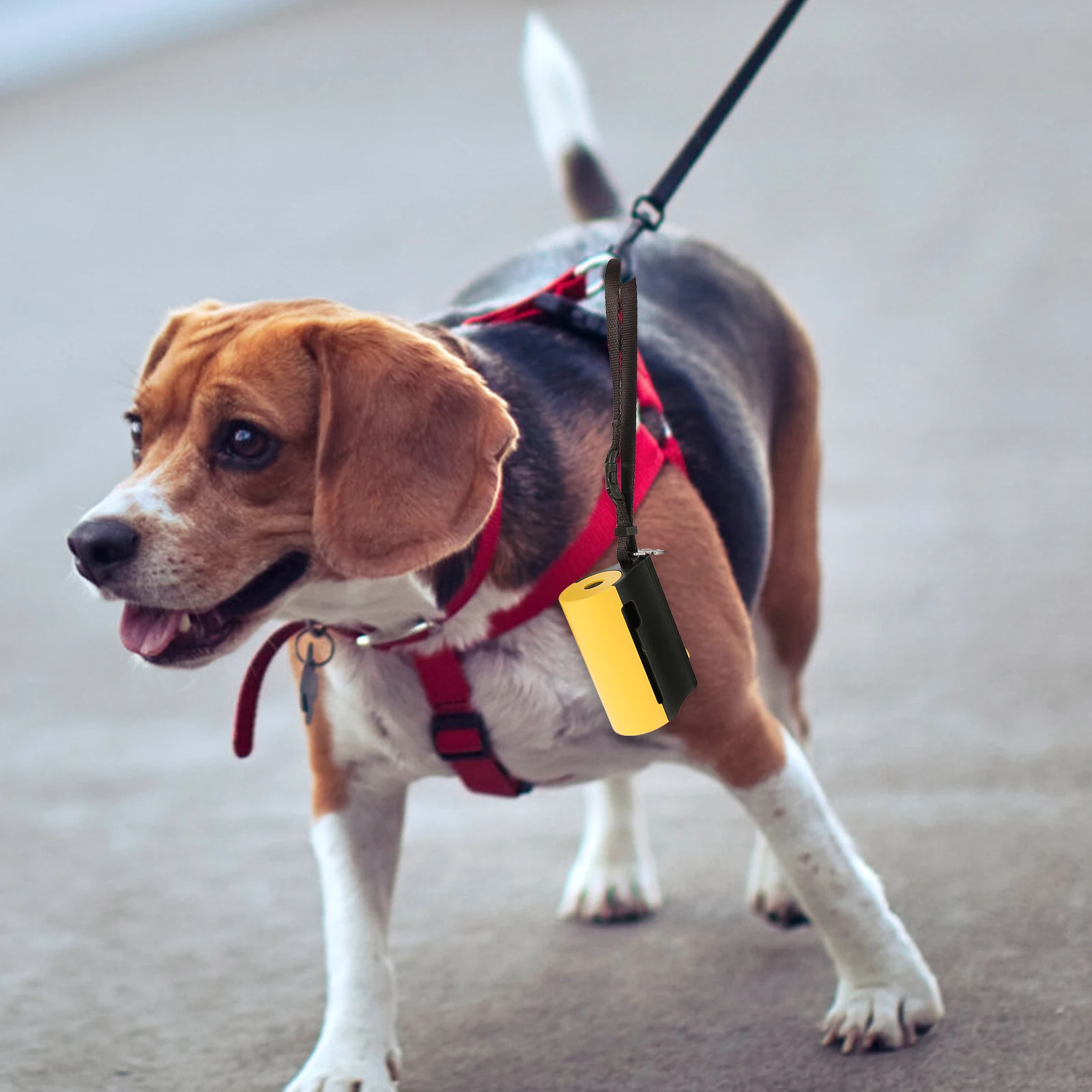 

Poop Bag Holder for Dogs Portable Pet Waste Dispenser Tough Construction No-Crack Material Ideal for Daily Use and Outdoor