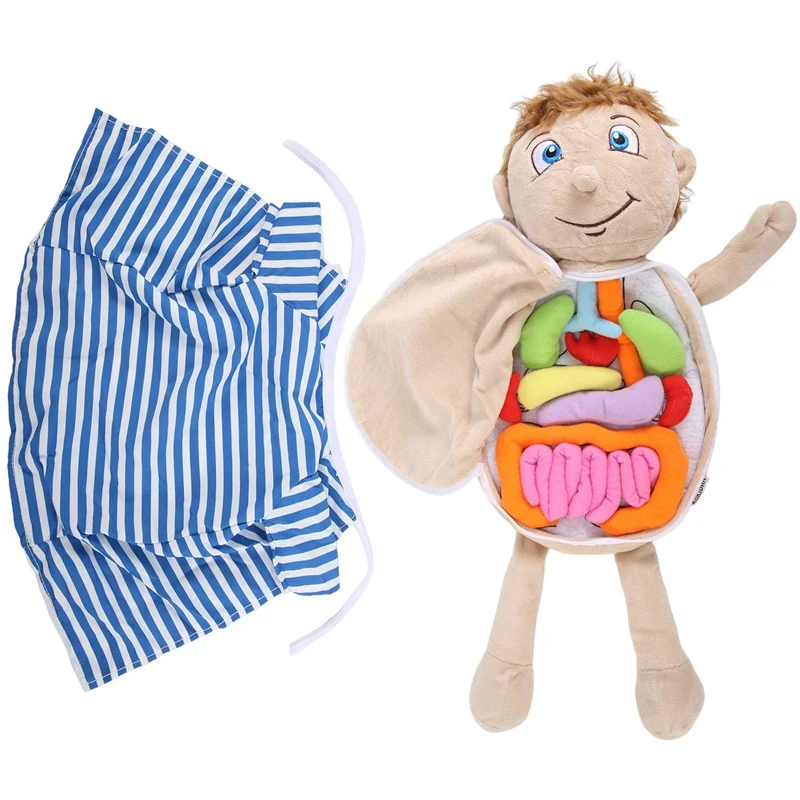 Kids Assembled Plush Body Organs Toy Human Body Anatomy Plush Doll Science Teaching Aids Tool Educational Toys