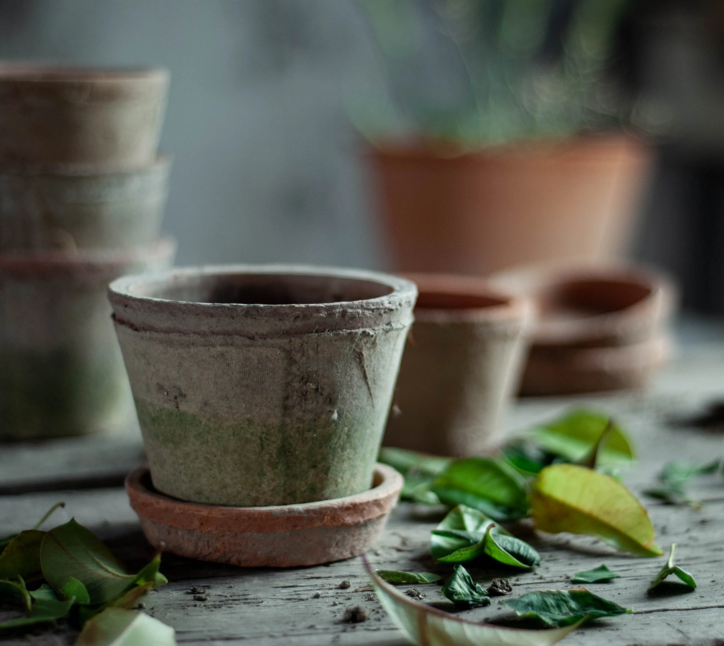 Handmade Distressed Terracotta Flower Pot with Moss Effect - Large Breathable Clay Planter for Indoor/Outdoor Bonsai Plants