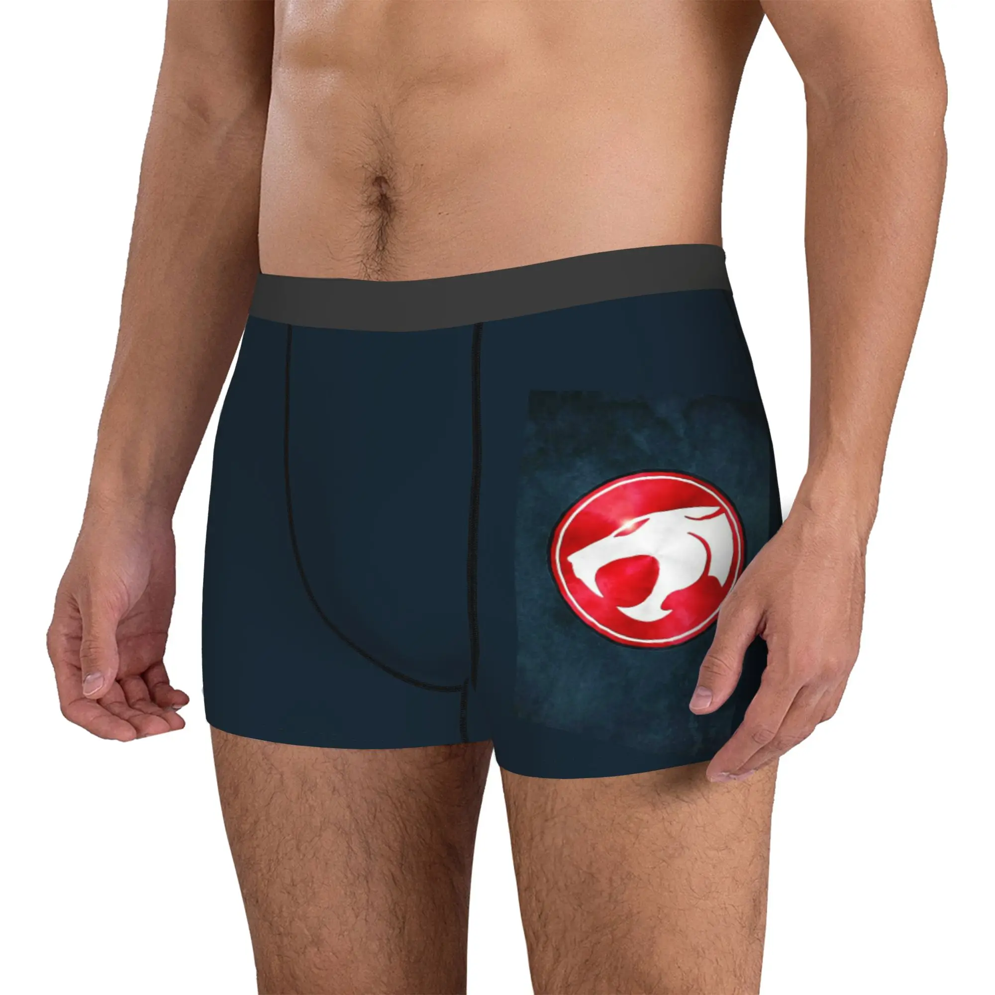 Custom Anime   Thundercats  Boxers Shorts Mens HiMan Tygra Briefs Underwear Funny Underpants