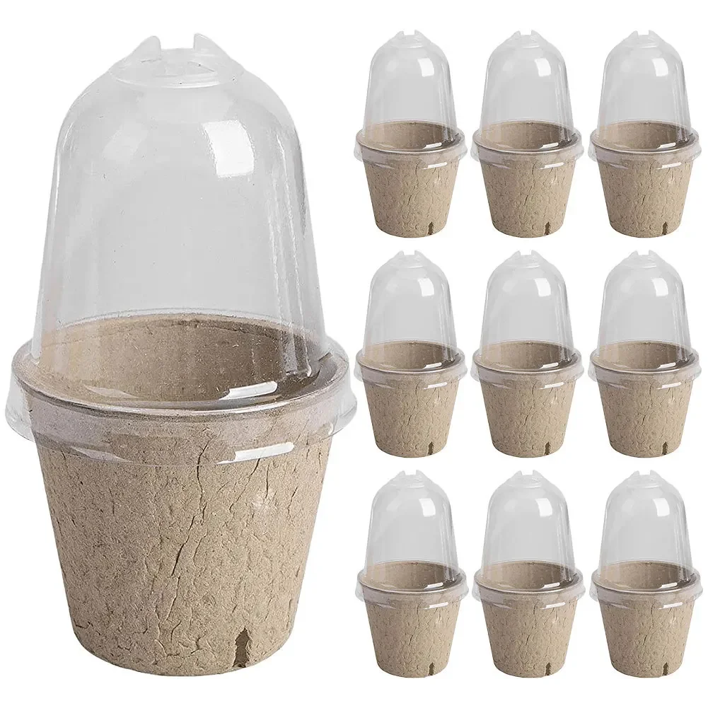 10Pcs Seedling Cup Cultivation Pot Transparent Lid Germination Planter Versatile Greenhouse Breeding Box Gardening Supplies