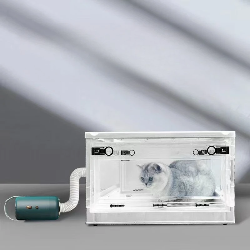 

Pet drying box, water dryer, drying, household, small cat
