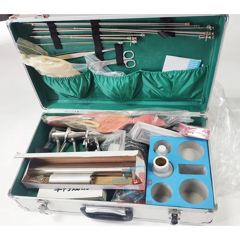 HC-R085 veterinary big animal sheep complete in series artificial Insemination gun instrument kit box for cow cattle