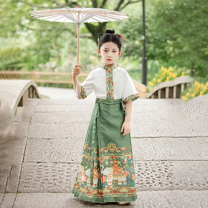 여자 Hanfu Mamian Qun Ming 왕조 직조 금 말 얼굴 스커트 중국 전통 고대 Hanfu 스윙 학생복