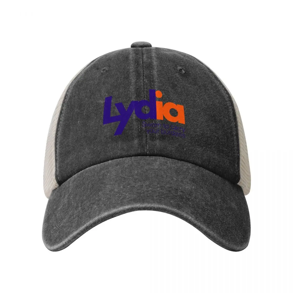 Lydia's Courier Service (Fedex logo parody) Baseball Cap funny hat Golf Cap dad hat black Mens Women's