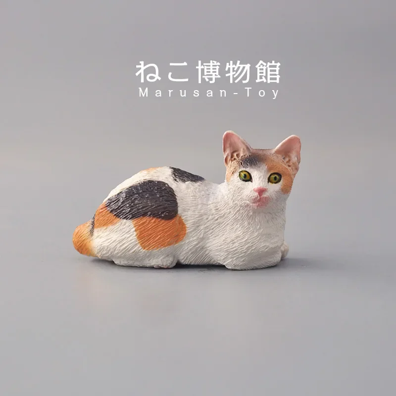 Modelo de huevo trenzado Original japonés a escala, gato, gatito lindo, Animal, colección de escritorio