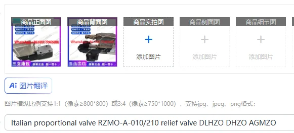 Italian proportional valve RZMO-A-010/210 relief valve DLHZO DHZO AGMZO