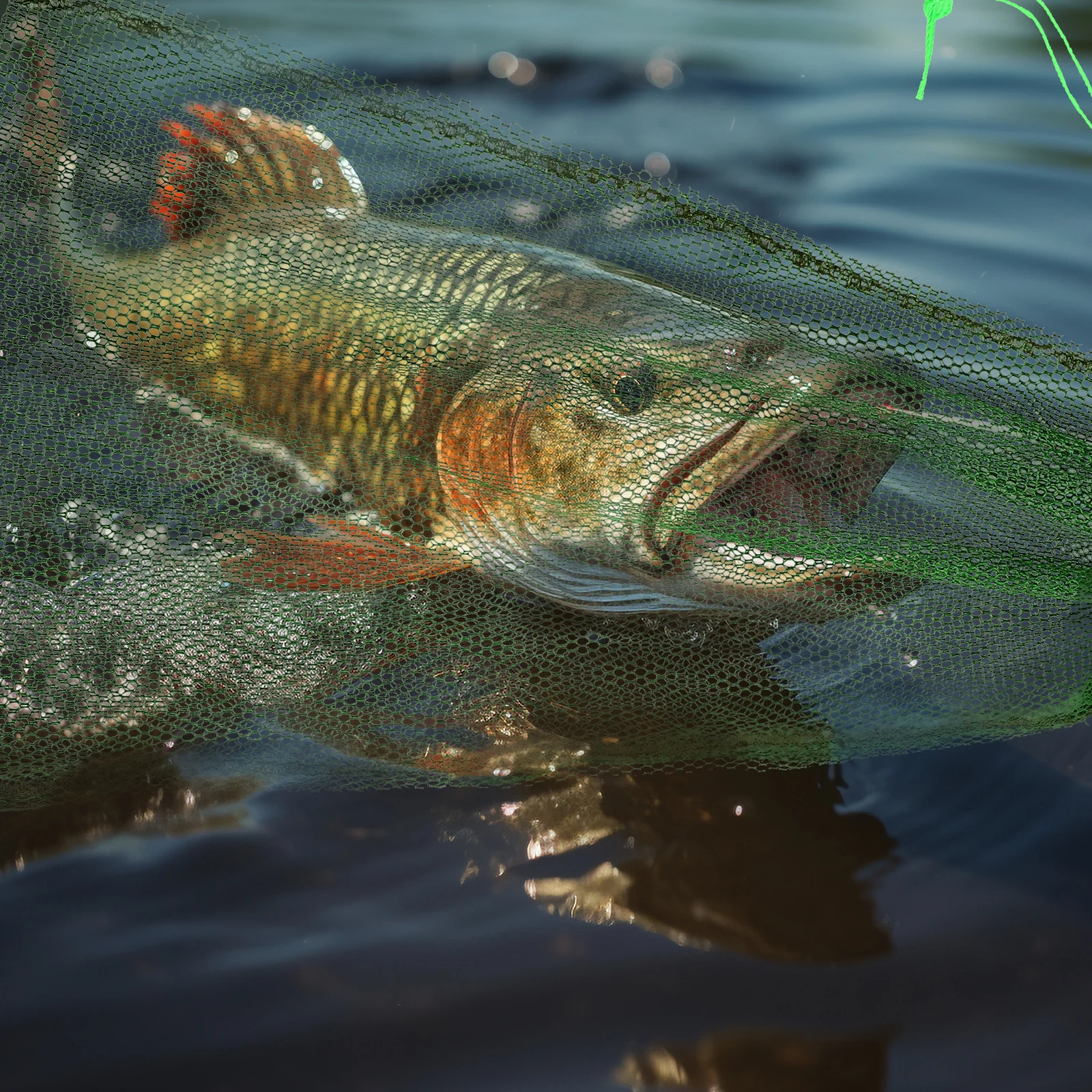 

3Pcs Fish Collection Pouches Quick-Drying Materials Portable Foldable Fishing Accessories Safe for Fish Random Color