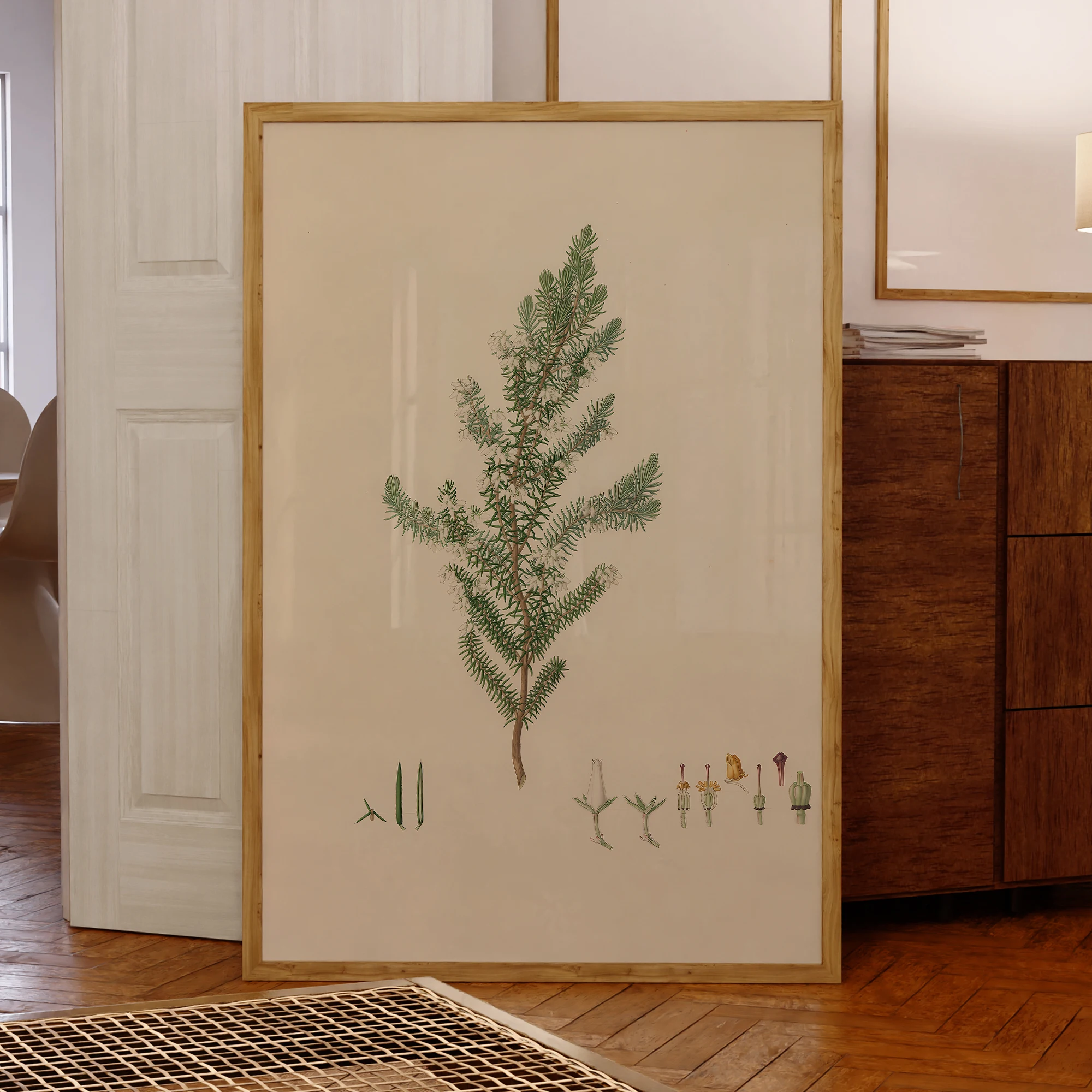 Modern Plants Cultivated In The Royal Gardens Wall Art Prints Canvas Paintings Poster Pictures Living Room Waterproof Home Decor