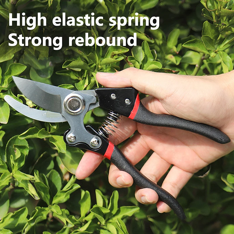 

1Pc Garden Scissors Grafting Tool Fruit Tree Pruning Shears Bonsai Pruners Garden Shears Precision Blade Garden Pruning Scissors