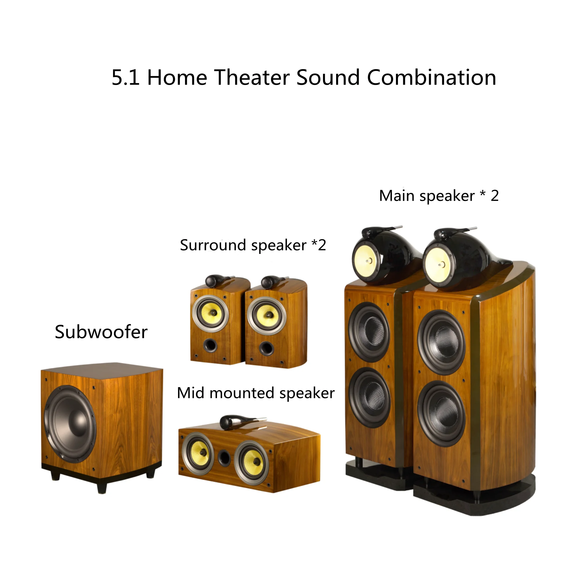 AVplay Nautilus Double 10 inch HiFi Fever 5.1/5.2 Set Wooden Home Theater Speaker 12 Inch Subwoofer 5.5 Inch Bookshelf Speaker