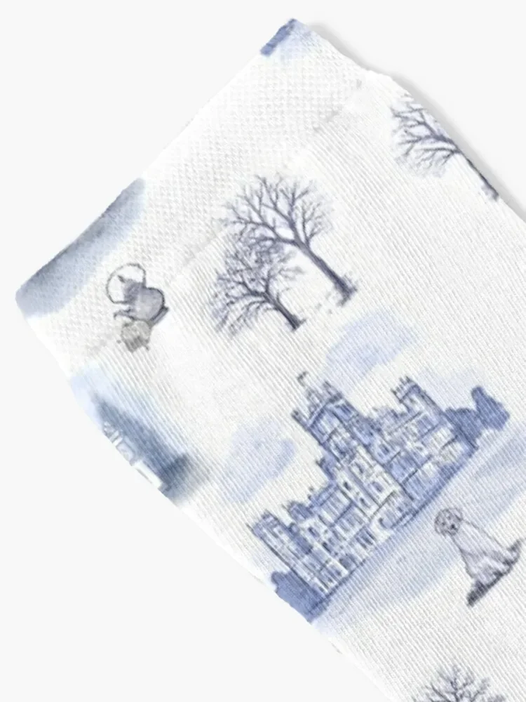 Downton Abbey inspired Toile Socks Stockings hiphop winter thermal gym Male Socks Women's