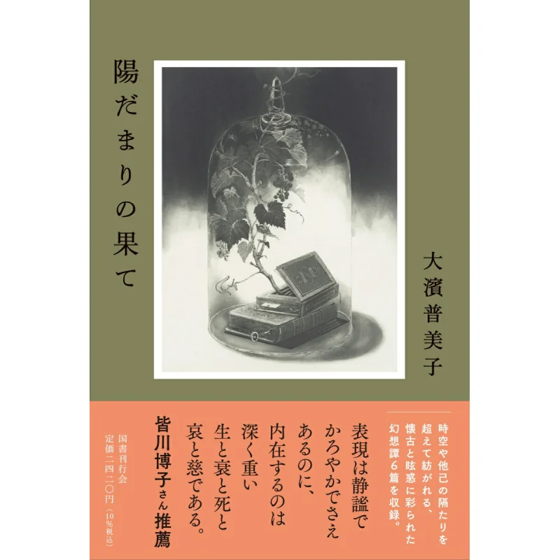The End Of The Sun Received The 50th Izumi Kyoka Literature Award Fumiko Ohama 9784336073433