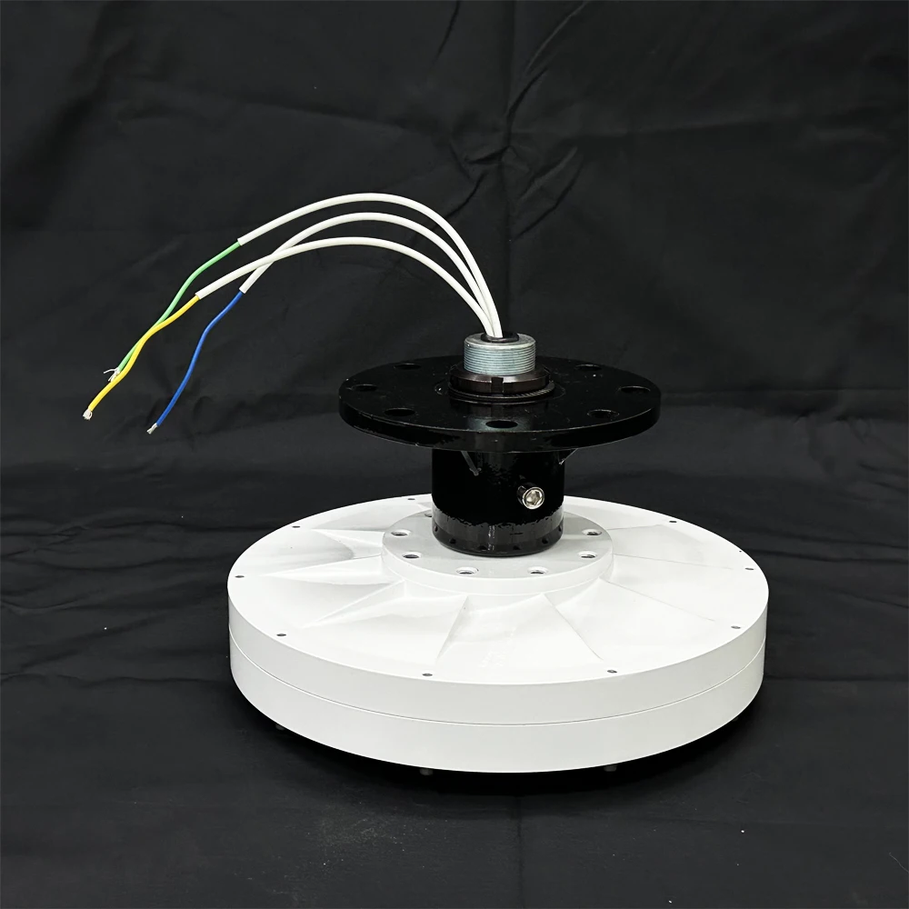 

10KW emergency stop protection for rural household power supply of magnetic levitation wind turbine with brake system