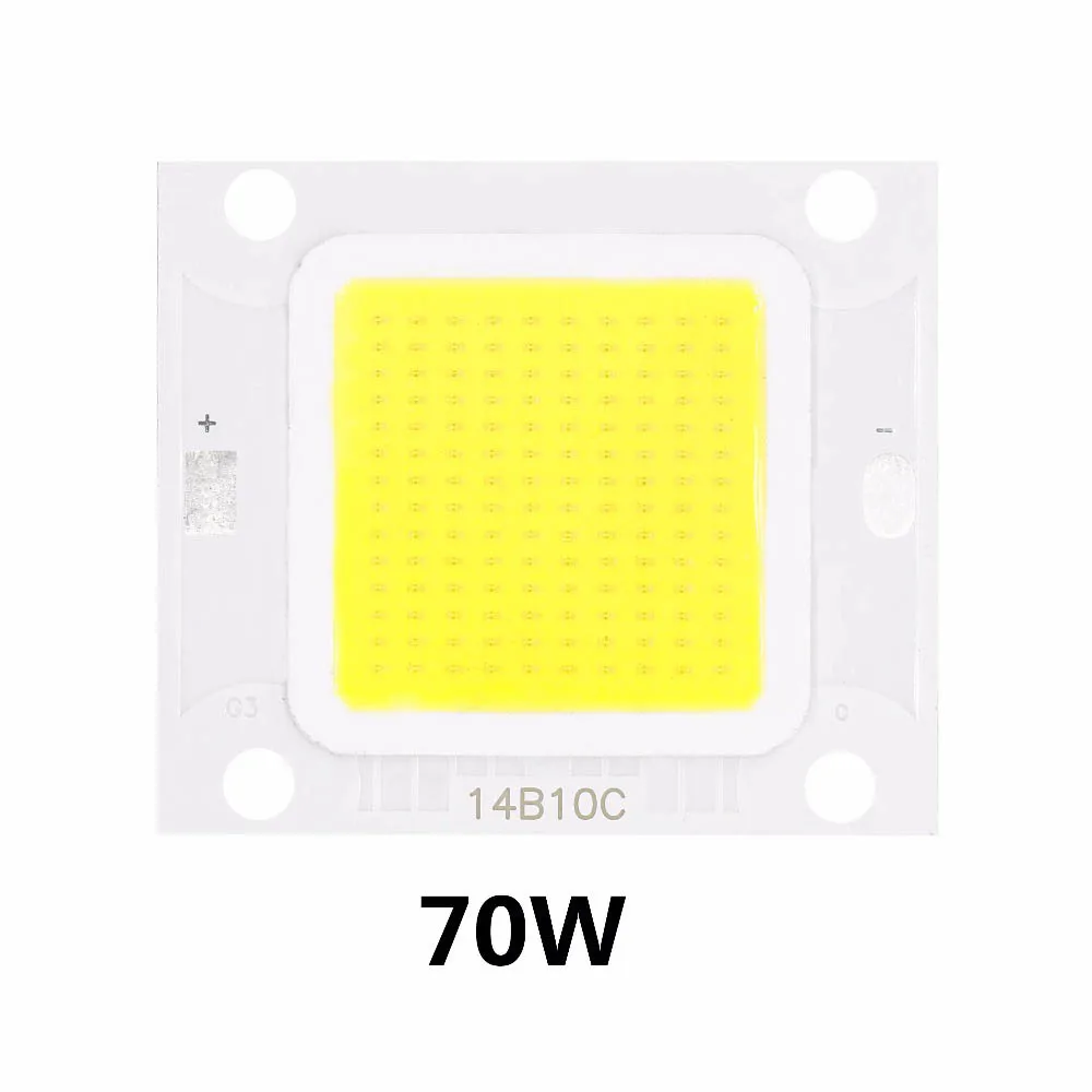 LED COB Chip 100W 70W 50W 30W 20W 10W High Brightness Lamp Input 30-34V For DIY Leds Outdoor Floodlight Spotlight Coldwhite