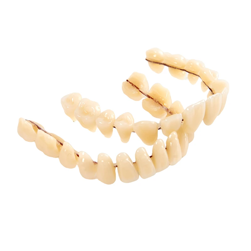 A2(#22,#23,#24) Resin False Teeth Model Dentures Dental Material Teeth Teaching Model Dedicated Teeth Manufactured Artificial