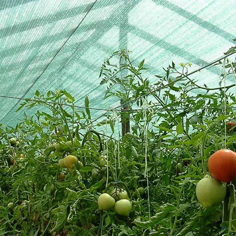 2025年中国製農業用温室遮光メッシュ生地