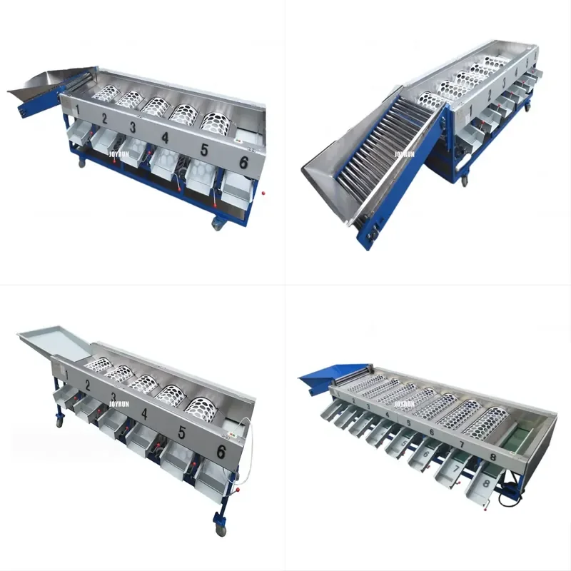

AP01 Automatic Fruit and Vegetable Grader Sorter Grading Sorting Line Machine for Commercial Use