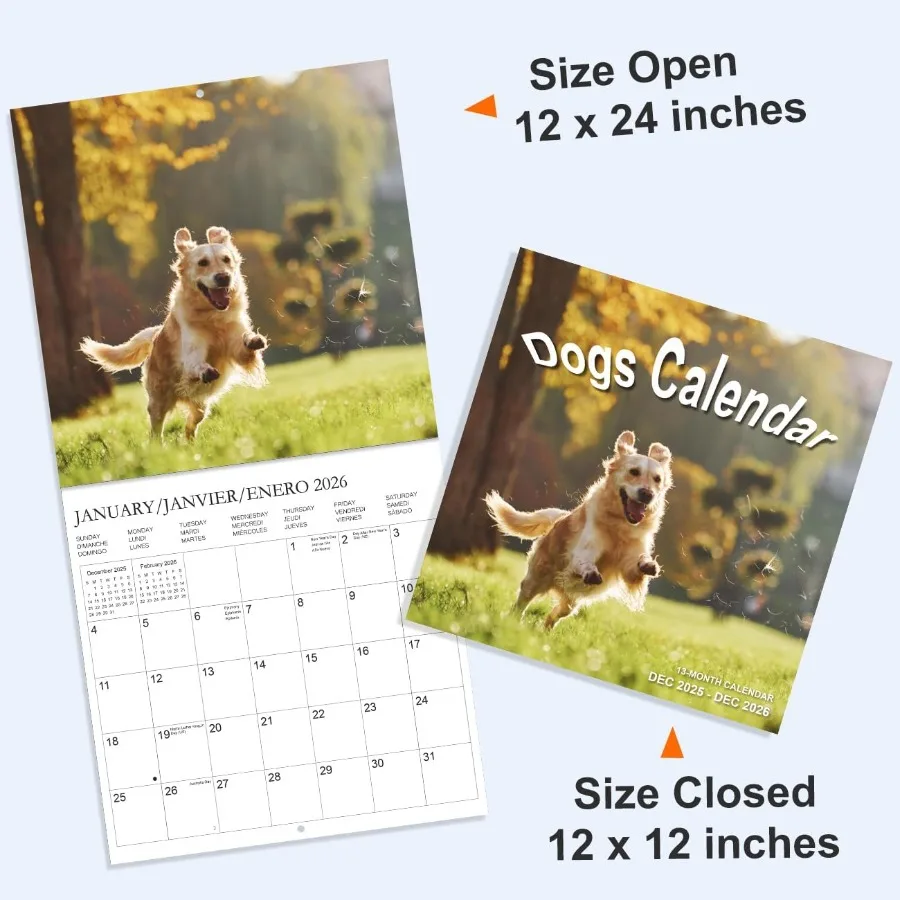 Kalender 2026 - Wandkalender van december 2025 tot december 2026 3 talen Engels Freh Spaans 2026 Kalender met vakantie M