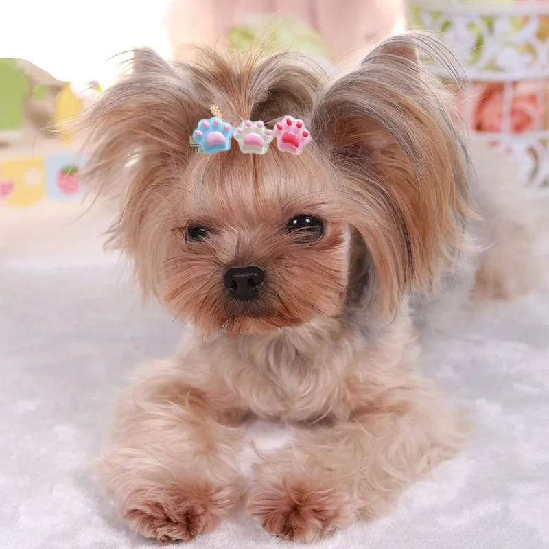 Cartoon Pet Cat\'s Paw Hairpins Pet Dog Bows Hair Clips for Puppy Dogs Cat Yorkie Teddy Pet Hair Decor Pet Supplies