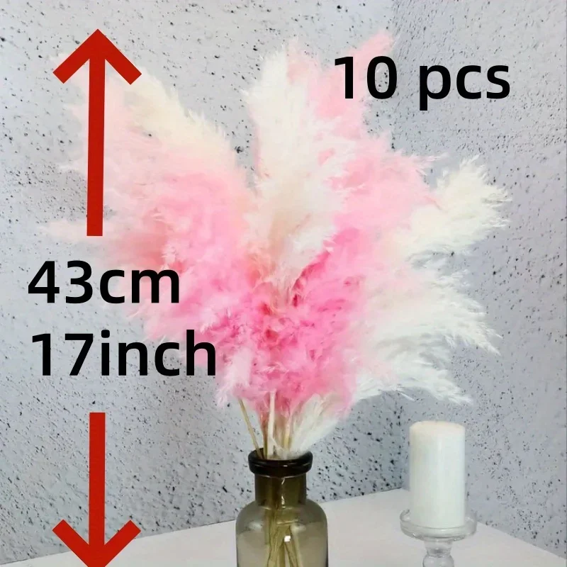 10Pcs Mix Color Pink White Fluffy Pampas Grass Boho Home Decor Natural Real Plant Suszone Kwiaty z Łodygami Ślubne Centerpieces