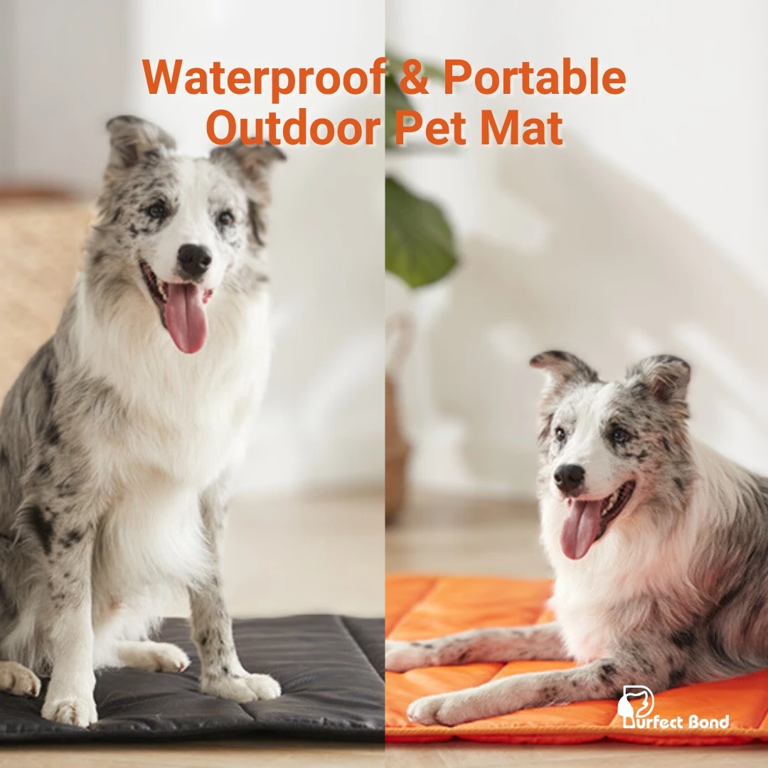 Waterproof and portable dog bed, camping mat, easy to clean, washable, comfortable spot for your dog to relax Outdoor