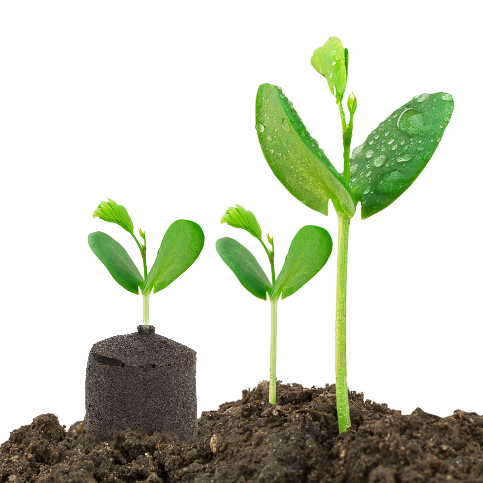 

50pcs Nursery Blocks Seedling Pots Soilless Cultivation Hydroponic Supplies Planting Matrix Nutrient Soil Biodegradable