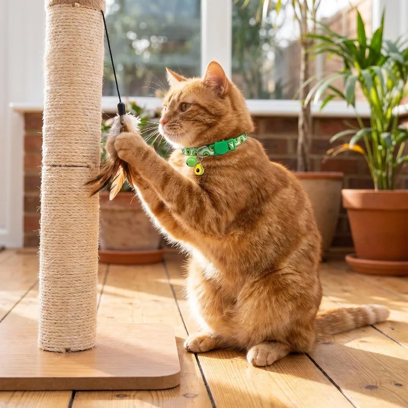 Neues Haustierhalsband mit Fruchtdruck und Glocke für Katzen, Hunde, Kätzchen, Welpen, verstellbares gewebtes Band, Halskette für Welpen und Kätzchen, Haustierzubehör – Detail 7