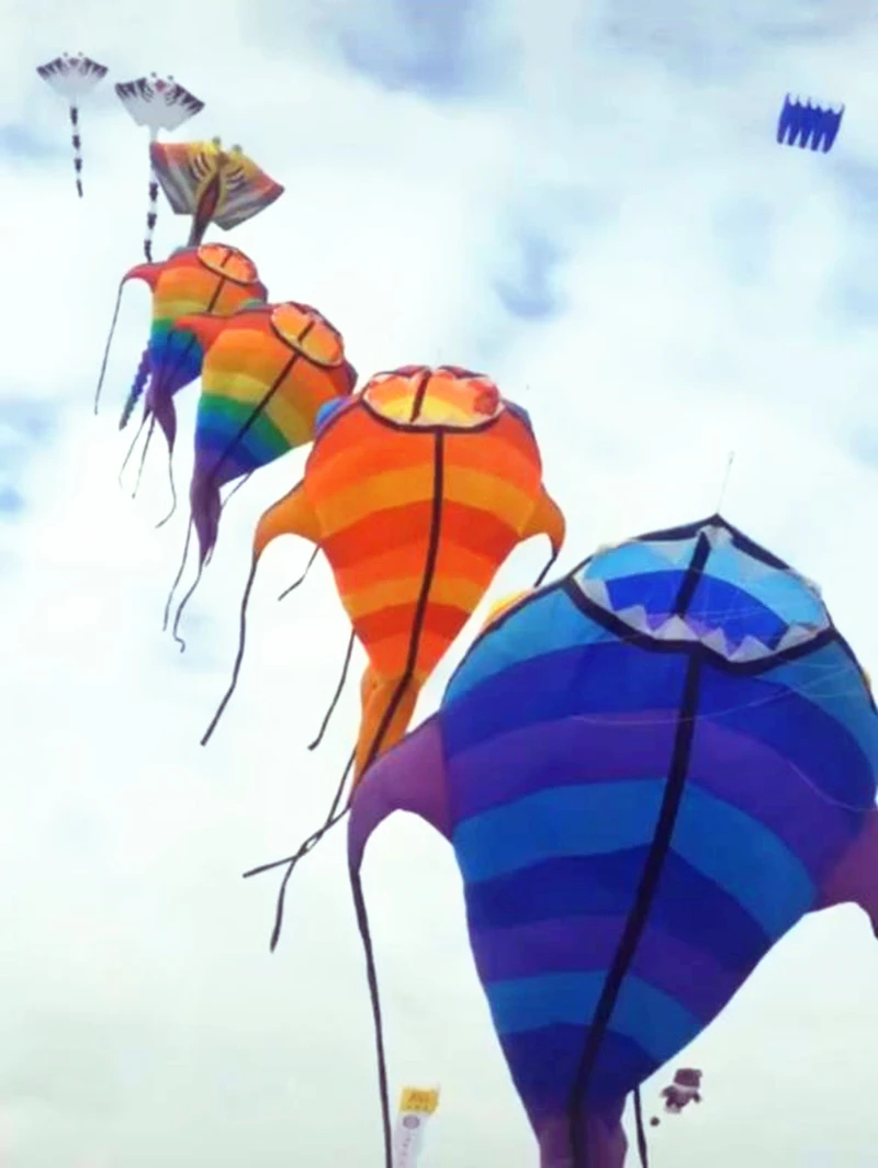 Sea monster kite flying outdoor fun toys fish kites freilein kite coloring kites octopus kite giant inflatable Camp fire gazing
