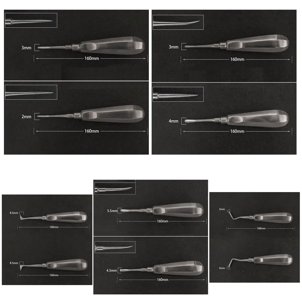 Kit de elevador de extração de aço inoxidável dental de 10 pces-elevadores de raiz reta e curvada para dentistas e laboratórios dentários