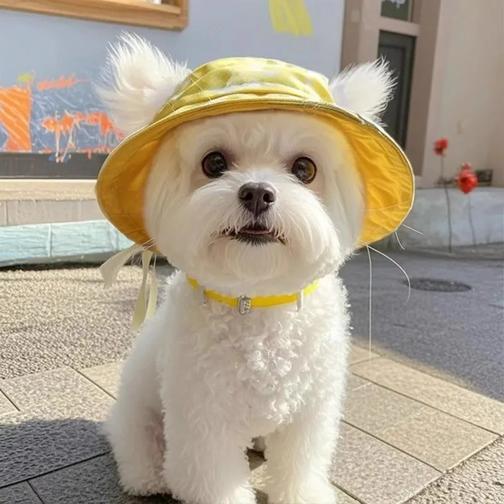 Summer Sunhat Cotton Cat Sun Hat S/M/L with Ear Holes Cat Bucket Hat Adjustable Outdoor Sun Protection Dog Fisherman Hat Travel