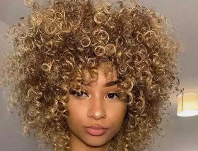 Wigs For Black Women Short Kinky Curly Full Wigs Brown Blonde Synthetic