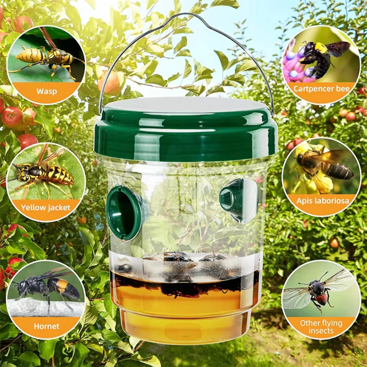 Thumbnail 4 - #9 Trending Pest Control Traps Right Now