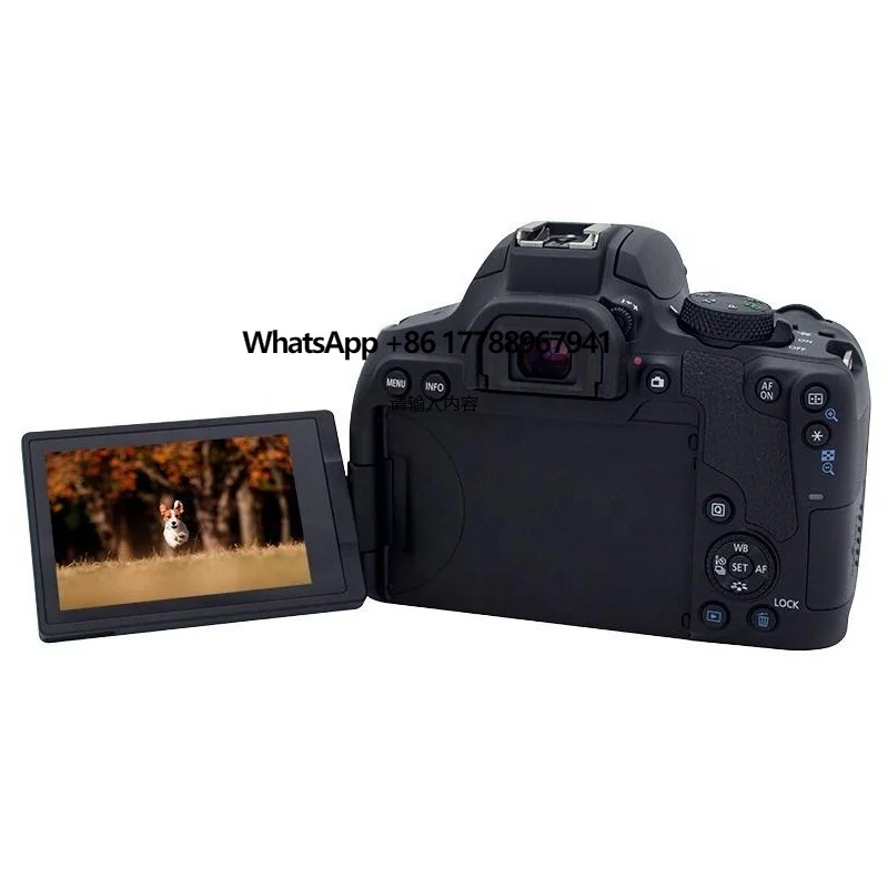 

DF Wholesale 99% New Professional DSLR Body Worn 850D for canon