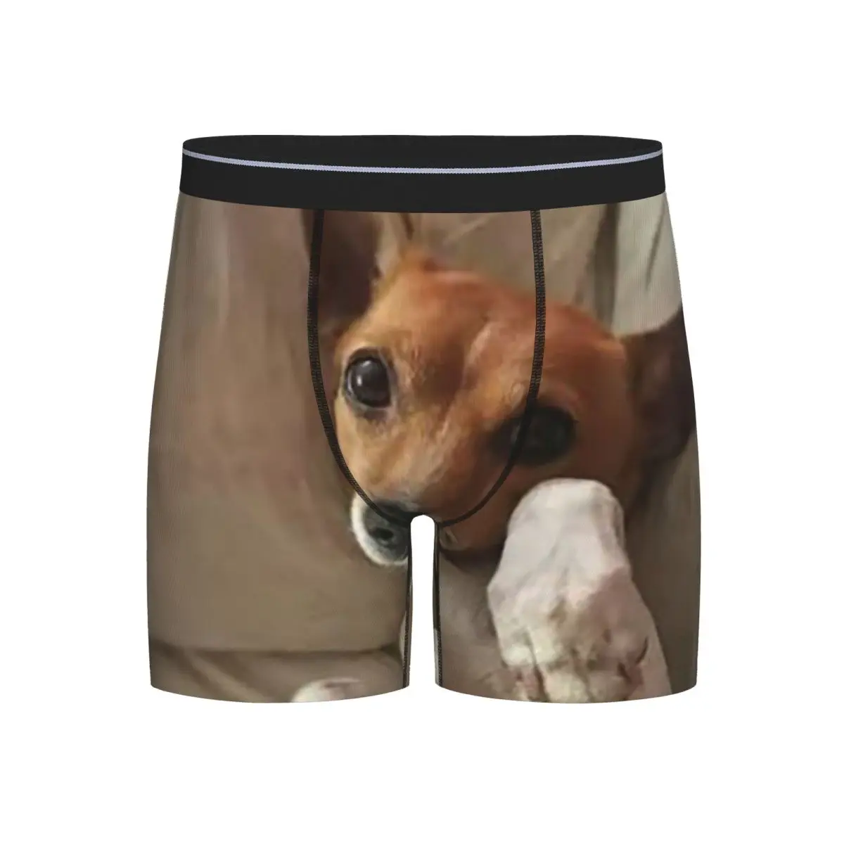

Long Boxer Underpants Shorts Funny Jack Russell Terrier Meme Panties Male Soft Underwear for Homme Man Boyfriend Gifts