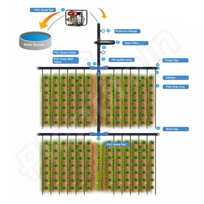 1 Hectare Design Agricultural Drip Irrigation System