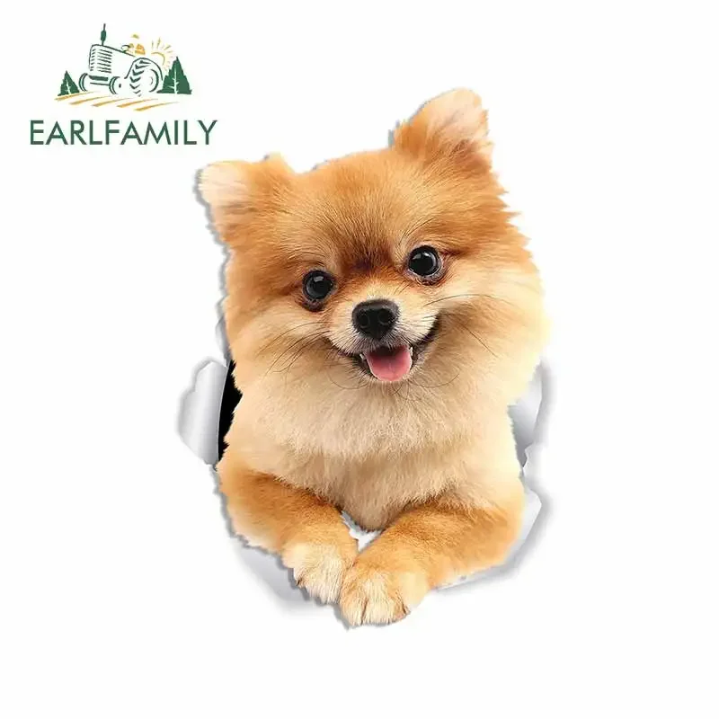 

EARLFAMILY 13 см x 9,1 см для милых померанских собак, ремонт автомобильных наклеек, индивидуальные креативные наклейки, наклейки для кемпера, украшения