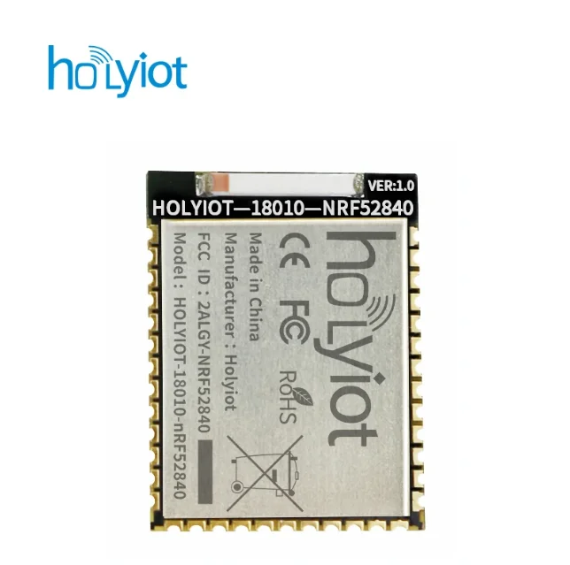 Сертифицированный FCC CE Holyiot 18010 Nordic NRF52840 Модуль Bluetooth 5.0 Модули с низким энергопотреблением Бытовая электроника для BLE Mesh